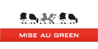 Logo de la marque Mise au Green - TALANGE 