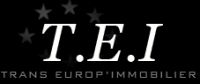 Logo marque Trans Europ Immobilier