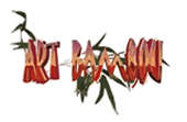 Logo de la marque Artbambou Magasin Daumesnil - Picpus