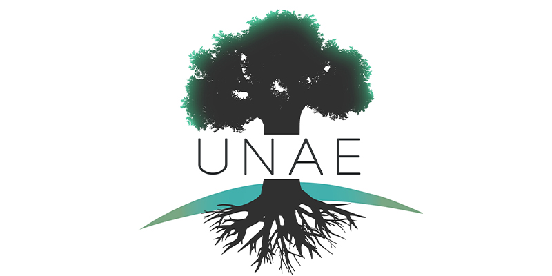 Logo marque UNAE