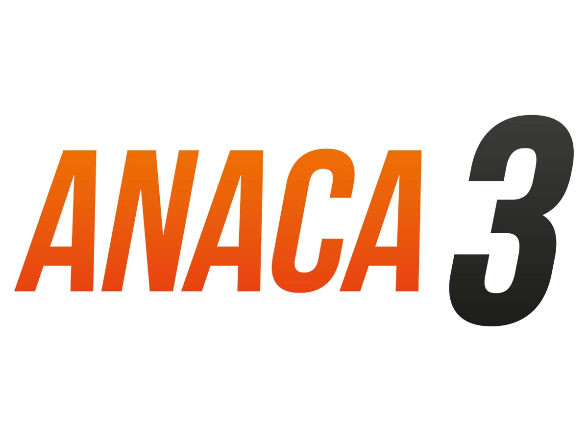 Logo marque Anaca 3