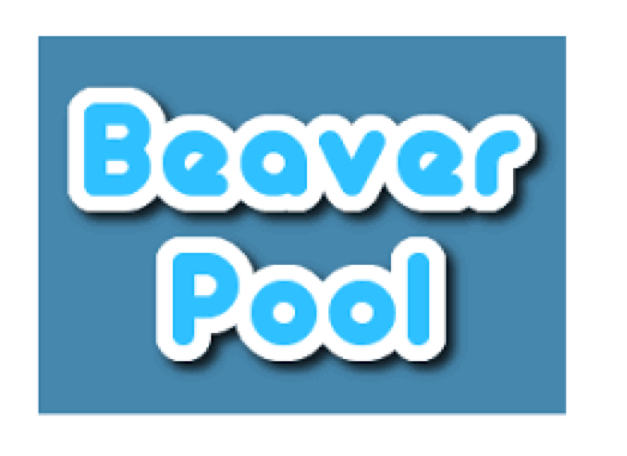 Logo de la marque Beaver Pool MOULINS