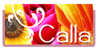 Logo de la marque Calla Les Fleurs - Billère