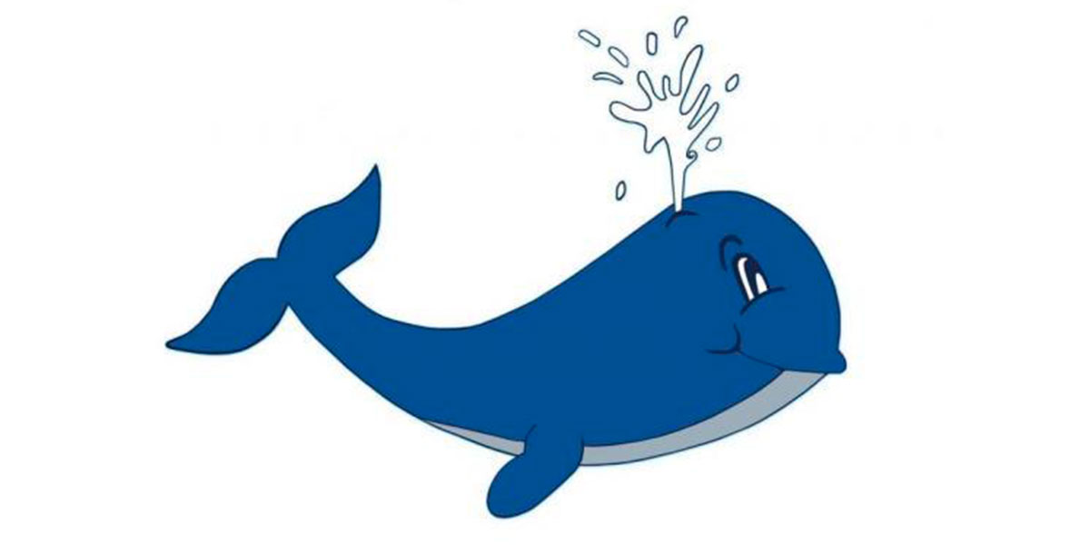 Logo de la marque Centre de Lavage la Baleine