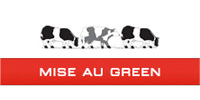 Logo de la marque Mise au Green - MONTBRISON 