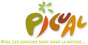 Logo de la marque Picual MONTBONNOT
