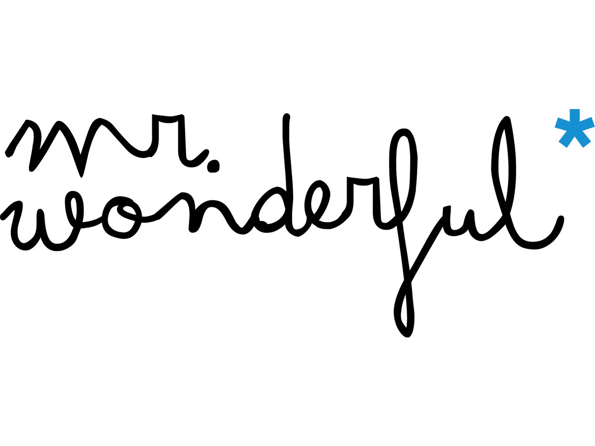 Mr Wonderful