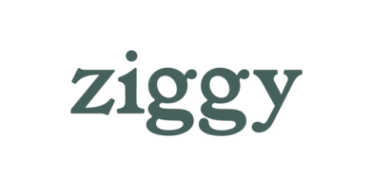 Logo marque Ziggy