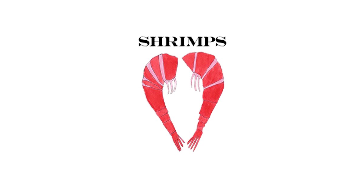 Logo marque Shrimps