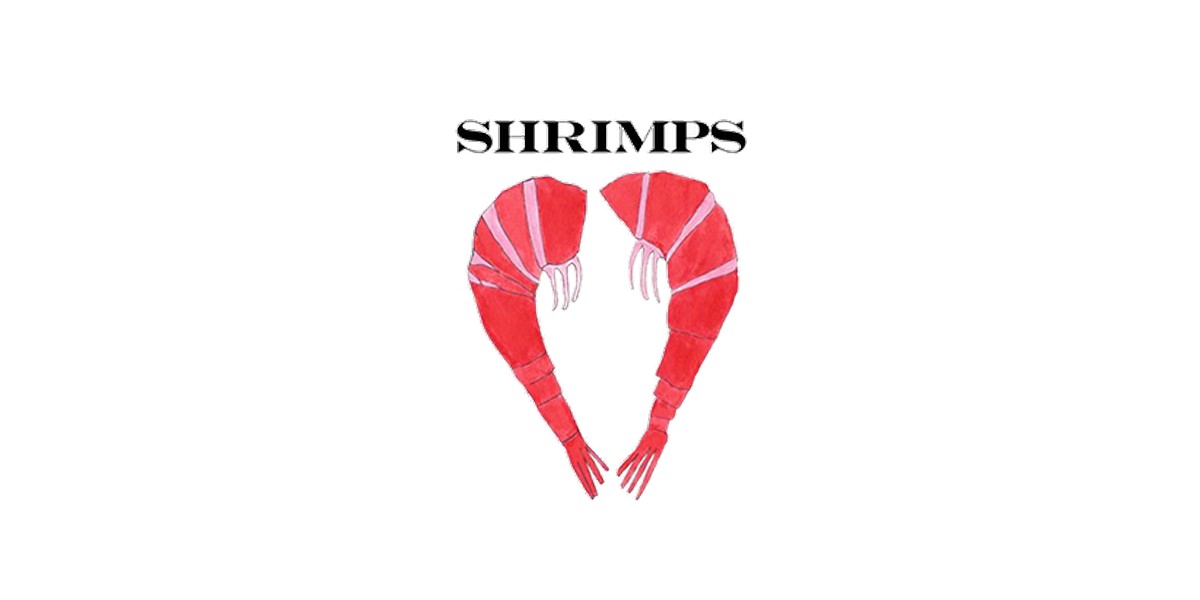 Logo marque Shrimps