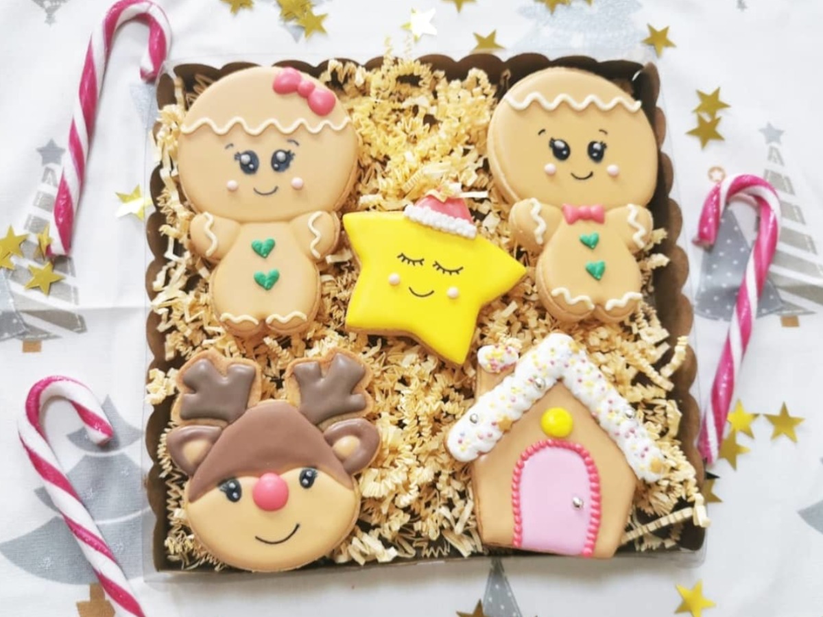 Aiguille à Mélanger Le Sucre – Outil Décoration Cookies 13 Cm – Pour Glaçage Royal Et Pâtisserie