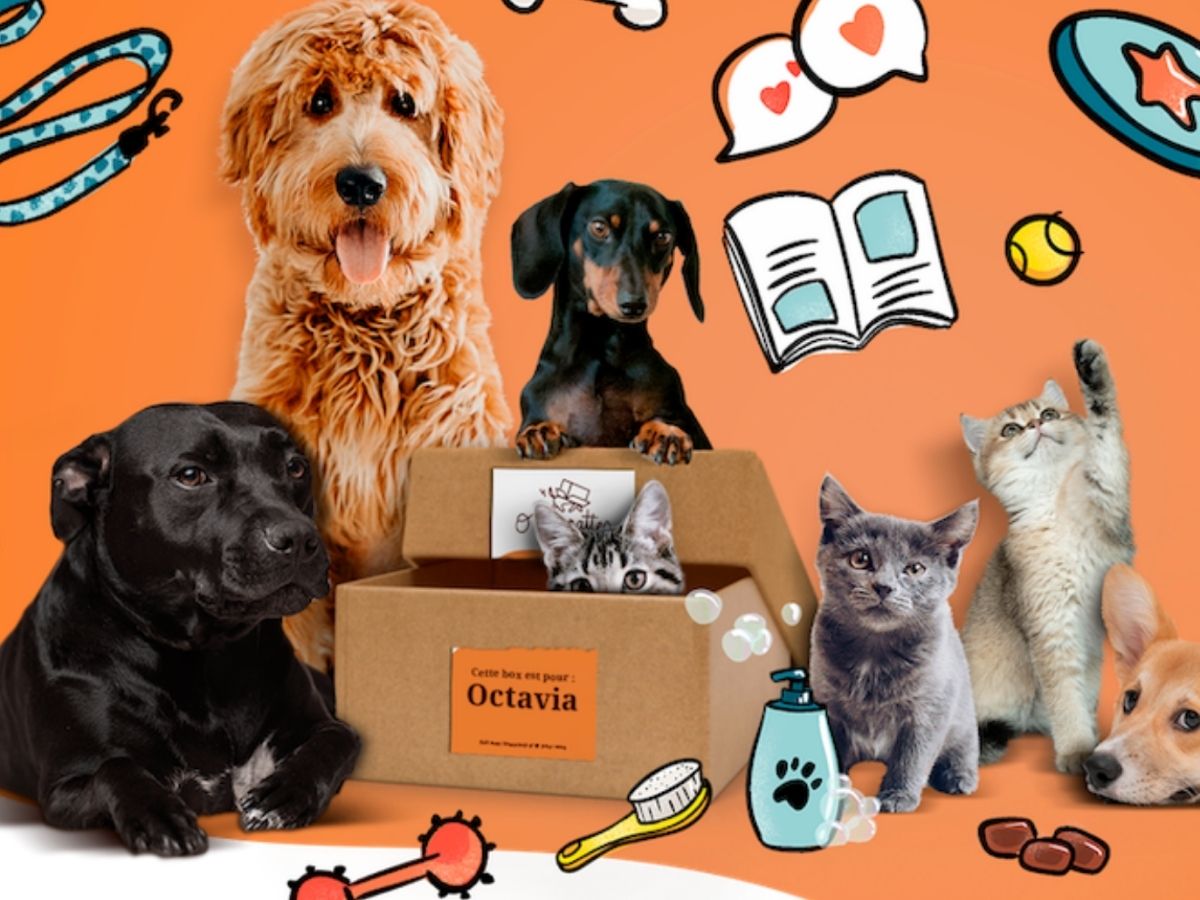 Nous avons testé O’les pattes : le petit plaisir mensuel de vos chiens et chats ! 